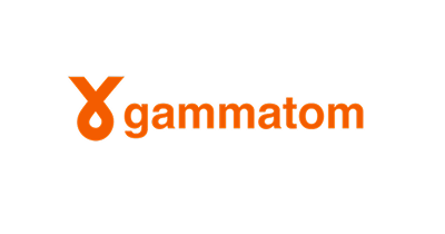 16_Gammaton